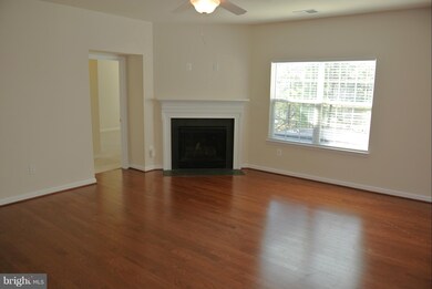 4899 Rich Springs Ct, White Plains, MD 20695 - photo 3