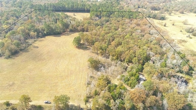 15031 Farm To Market Road 542, Oakwood, TX 75855 - photo 2