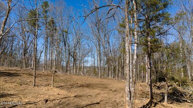 0 Wolfenbarger Tract 1 unit 1294792, Luttrell, TN 37779 - photo 7