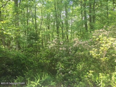 0 Lot A190 A191 A192 Primrose Ln, Jim Thorpe, PA 18229 - photo 2