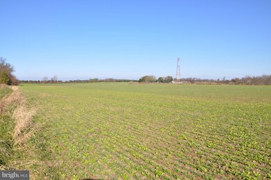 8415 Rock Hall Rd, Chestertown, MD 21620 - photo 4