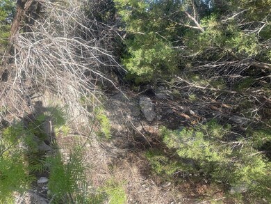 1509 Woodmere Trail, Granbury, TX 76048 - photo 3