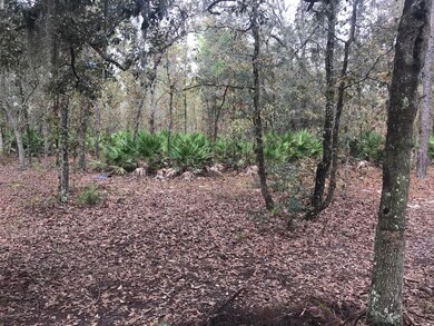 3920 June Bug Ln, Middleburg, FL 32068 - photo 3