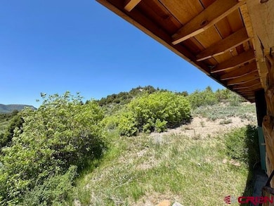 4915 Road 31, Cahone, CO 81320 - photo 7
