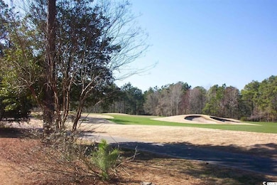 4431 Montrose Ln unit C, Myrtle Beach, SC 29579 - photo 7