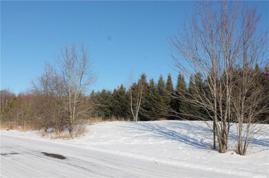Lot 3 26 1 4 St, Chetek, WI 54728 - photo 2