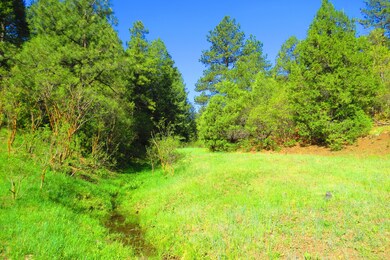 26 Owen Baldwin Pkwy unit Parcel H4, Trinidad, CO 81082 - photo 5