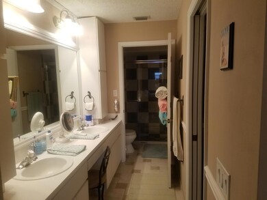 Master shower (2)