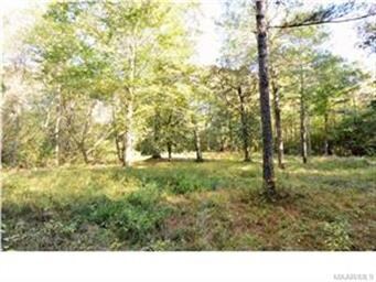 Part of the Acreage that is near the back of the p