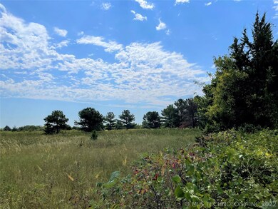 0 Mary Niblack Rd, Ardmore, OK 73401 - photo 3