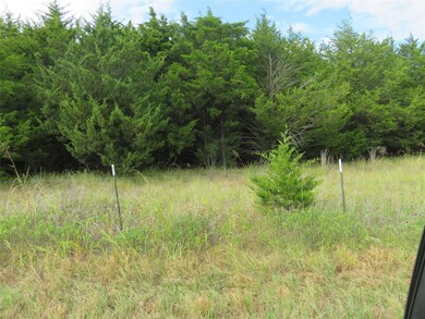 00 Flowing Wells Rd, Pottsboro, TX 75076 - photo 6