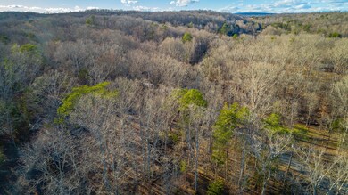 0 Beach Rd unit RTC2986615, Spring City, TN 37381 - photo 4