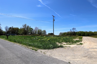 VL Benny Ct (Private) Lot#wp005 unit Lot 5, Grand Junction, MI 49056 - photo 6