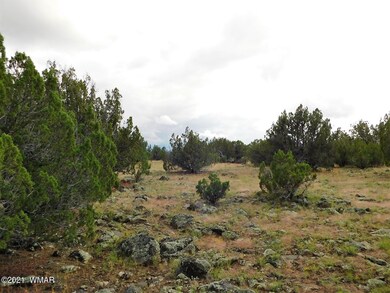 Lot No. 59 Sequoia Pl. Show Low, Az