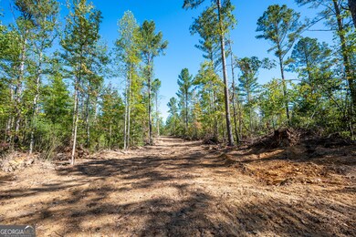 3785 Hwy 140 NE, Rydal, GA 30171 - photo 3