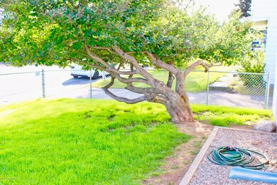 Fenced front yard