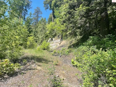 NNA Talache Rd, Sagle, ID 83860 - photo 3