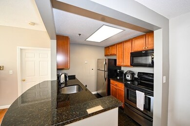 Glass Factory Condominiums unit 309, Cambridge, MA 02141 - photo 4