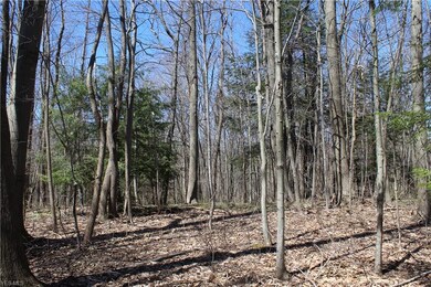 This is a photo of the actual property.