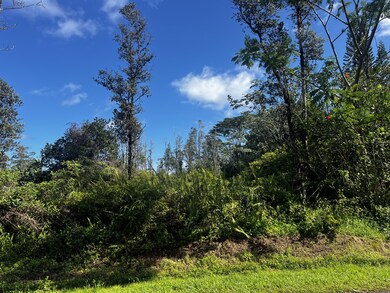 0 25th Ave unit 725675, Keaau, HI 96749 - photo 2