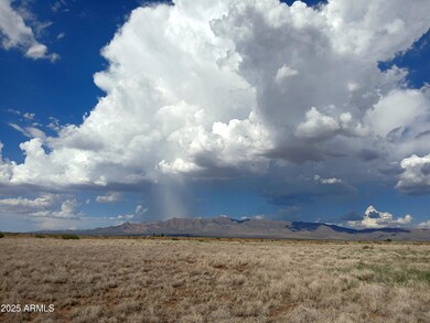 TBD N Ee Ranch Rd unit 1/4, McNeal, AZ 85617 - photo 2