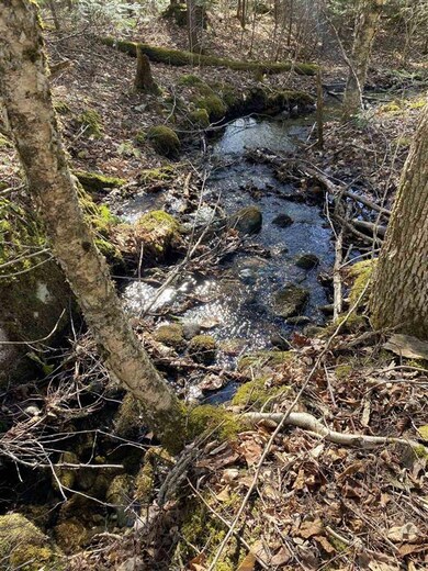 11-4 Wells Rd unit 11-4, Franconia, NH 03580 - photo 2