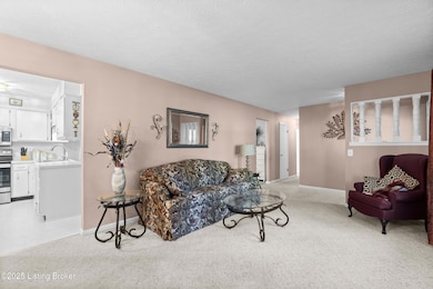 7910 Oswego Cir, Louisville, KY 40214 - photo 4