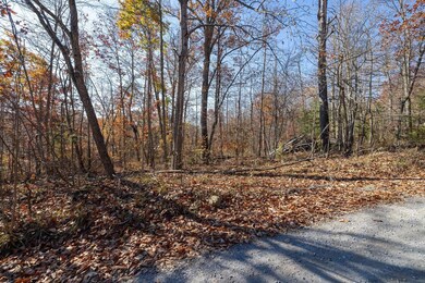 Lt G-51 Deer Track Rd, Luray, VA 22835 - photo 4