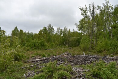 Lot 4-A Forest Ln, Carroll Plantation, ME 04487 - photo 4