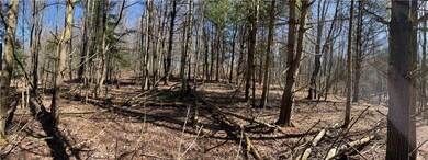 0 Clamtown Rd, New Ringgold, PA - photo 4