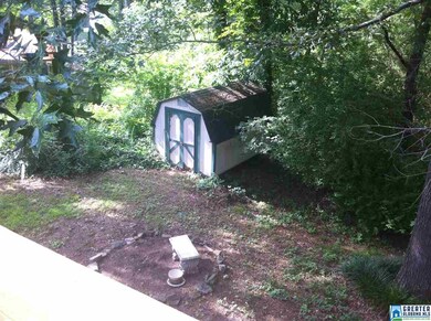 Large, shaded backyard with storage building