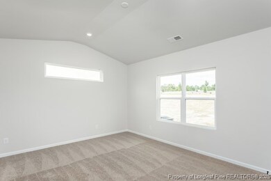 159 Empress St, Broadway, NC 27505 - photo 5