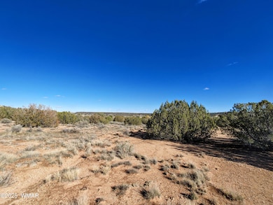 Parcel 3 W Shumway Rd, Taylor, AZ 85901 - photo 5