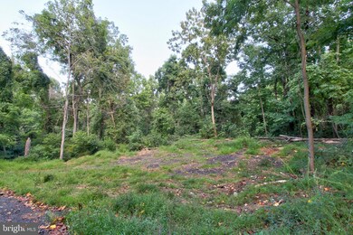 0 Old Ski Lodge Ln unit VARP2001236, Washington, VA 22747 - photo 6