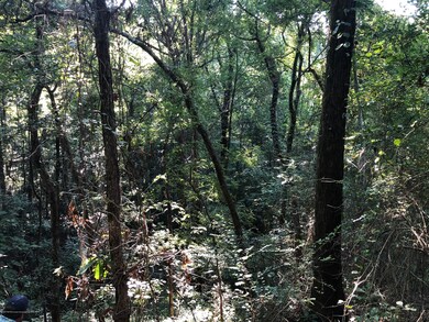 IMG_1184 (1)