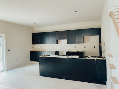 307 Front View St, Cornersville, TN 37047 - photo 4