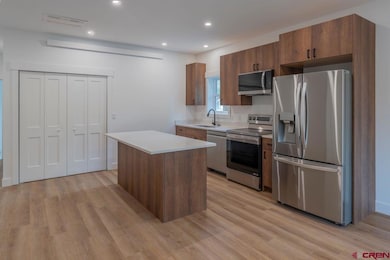 244 Teocalli Rd, Crested Butte, CO 81224 - photo 5