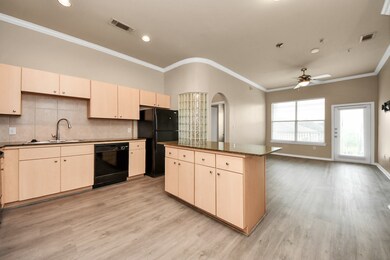 1441 East St unit 312, Houston, TX 77007 - photo 7