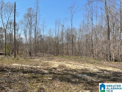 0 County Road 30 unit 4 Acres 1315566, Roanoke, AL 36274 - photo 4