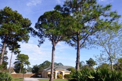 Mature Trees & Natural Barrier to Road