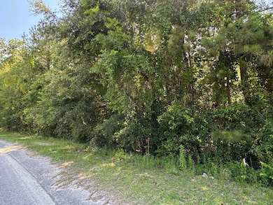 Tract 2 Tabernacle Rd, Eutawville, SC 29048 - photo 6