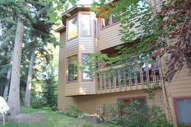 BACKYARD 1