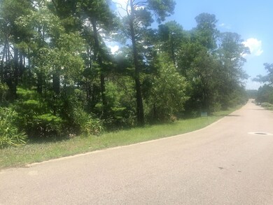 Spotted Dolphin Lot1