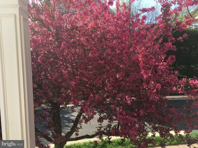 11478 Heritage Commons Way, Reston, VA 20194 - photo 3