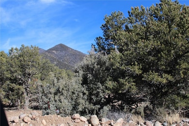 4333 Camino Baca Grande, Crestone, CO 81131 - photo 2
