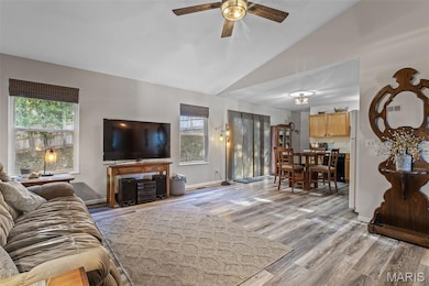 4329 NW Point Dr, House Springs, MO 63051 - photo 6