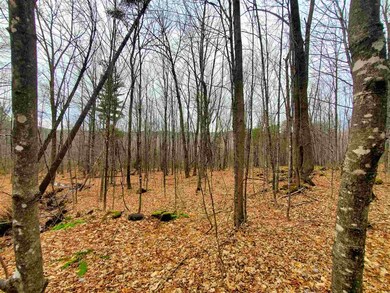 1715 Kittridge Pasture Rd, Reading, VT 05062 - photo 7