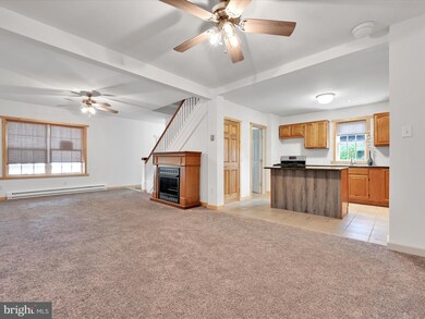 1138 Spruce St, Ashland, PA 17921 - photo 6