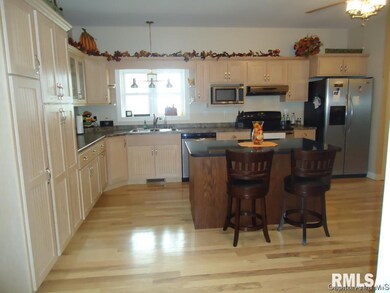 502 S East St, Virginia, IL 62691 - photo 4