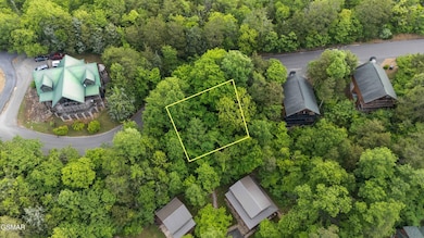 Lot 115 Alpine Mountain Way, Pigeon Forge, TN 37863 - photo 6